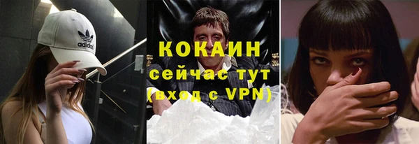 кокс Алексин