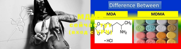 PSILOCYBIN Магас