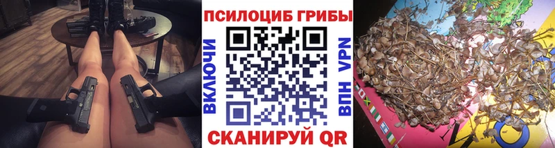 Галлюциногенные грибы Cubensis Волжский