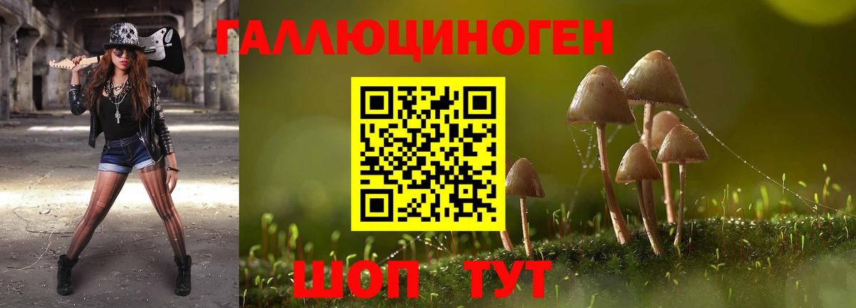 Псилоцибиновые грибы Psilocybine cubensis  Вход с VPN  Волжский 