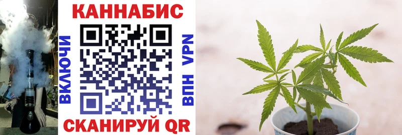 Бошки Шишки семена Волжский