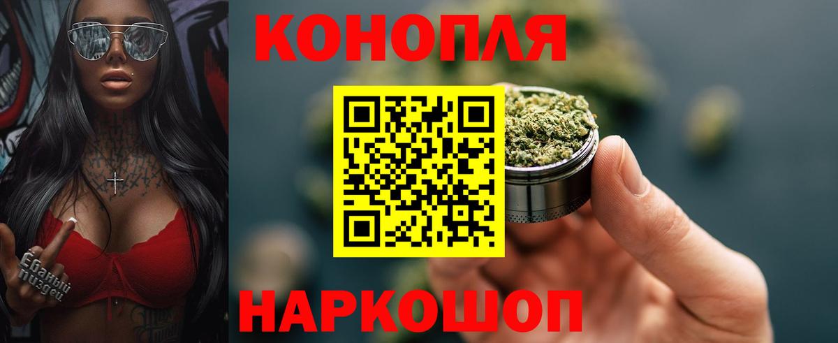 Волжский  Бошки Шишки SATIVA & INDICA  Вход с VPN  Канабис индика  Каннабис планчик 